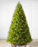 Árvore de Natal Verde Monterey Pine com Galhos Longos, Suporte Metálico e Micro LEDs Coloridos Embutidos