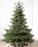 Árvore de Natal European Fir com Galhos Articulados, Suporte Metálico e Micro LEDs Embutidos