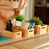 Caixa domu Ou 4L Linha Keep