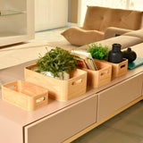 Caixa domu Ou 5L Linha Keep