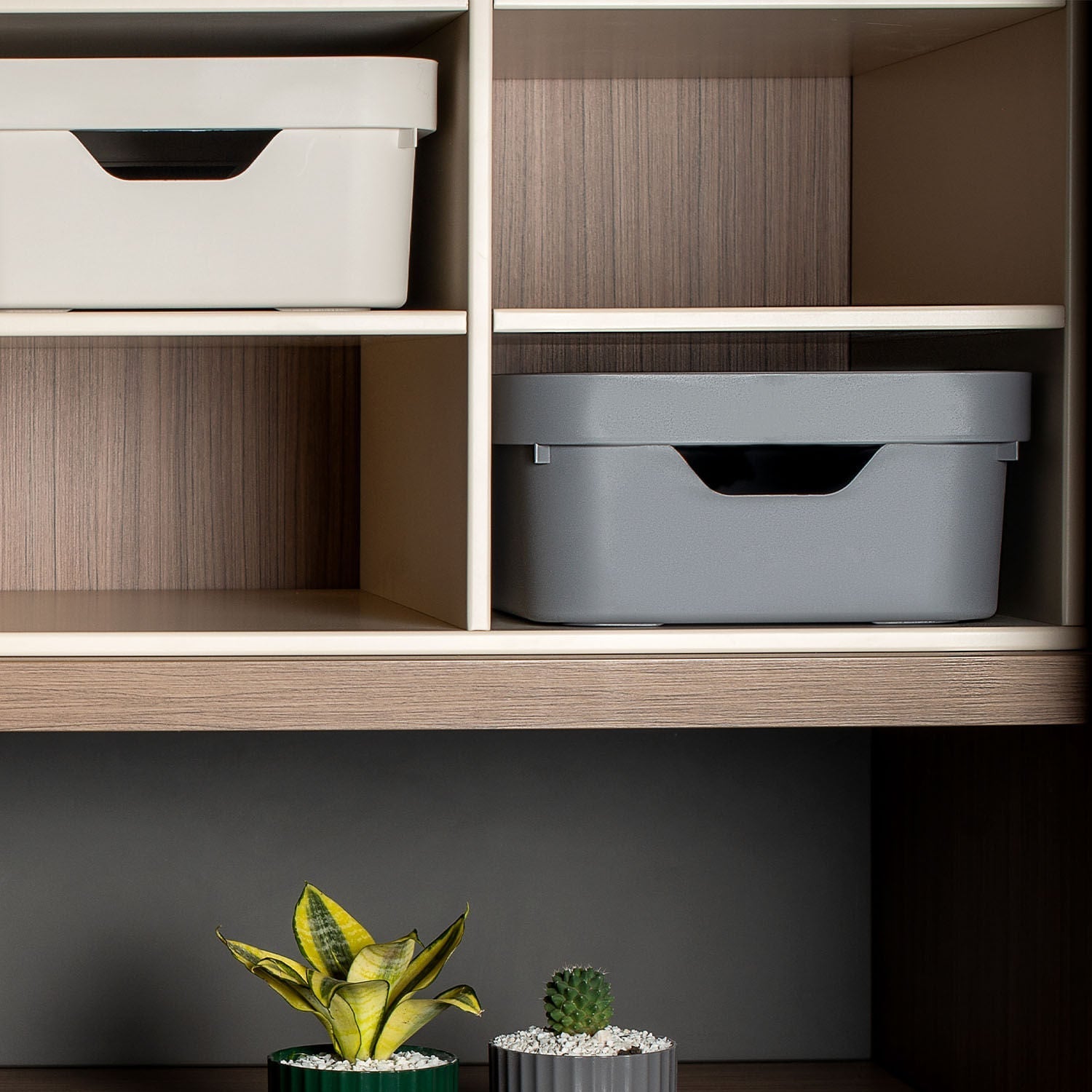 Caixa organizadora Ou 10,5 L com tampa Linha Cube