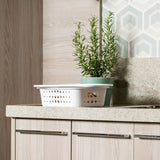 Cesta organizadora baixa Ou 3,3L