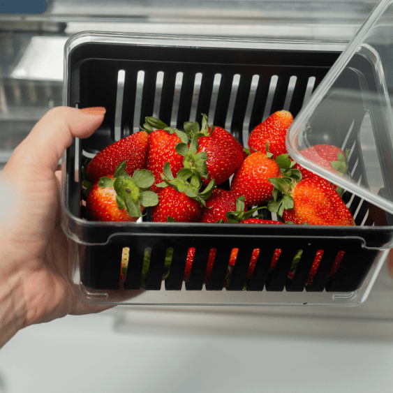 Organizador de geladeira com cesto Ou 2,2L Linha Clear Fresh