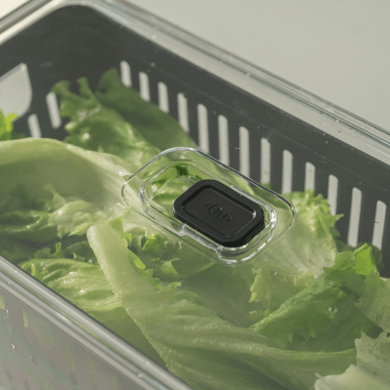 Organizador de geladeira com cesto Ou 5L Linha Clear Fresh