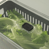 Organizador de geladeira com cesto Ou 5L Linha Clear Fresh