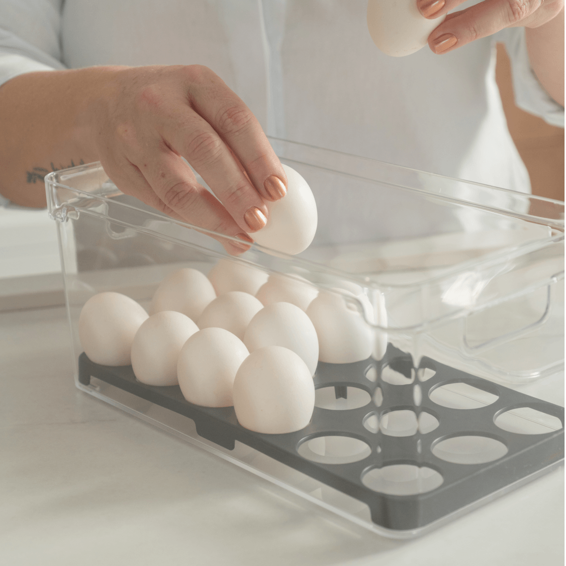 Organizador de ovos com tampa Ou 36un Linha Clear Fresh