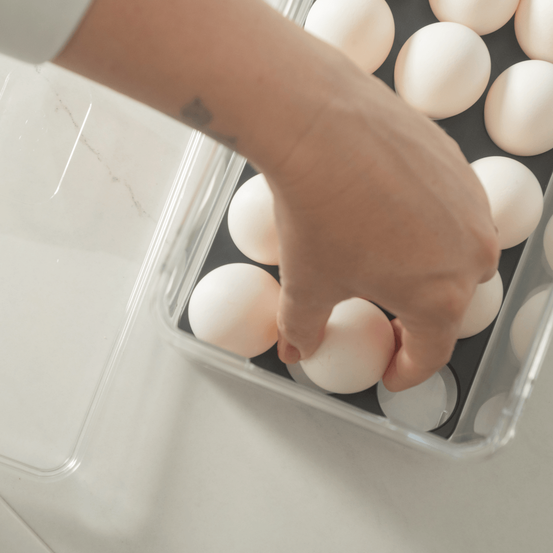 Organizador de ovos com tampa Ou 36un Linha Clear Fresh