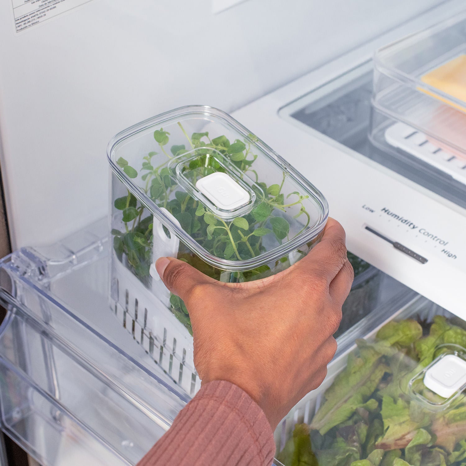 Organizador de temperos Ou 1,5L Linha Clear Fresh