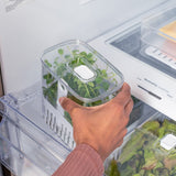 Organizador de temperos Ou 1,5L Linha Clear Fresh