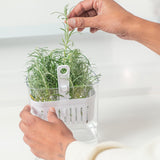 Organizador de temperos Ou 1,5L Linha Clear Fresh