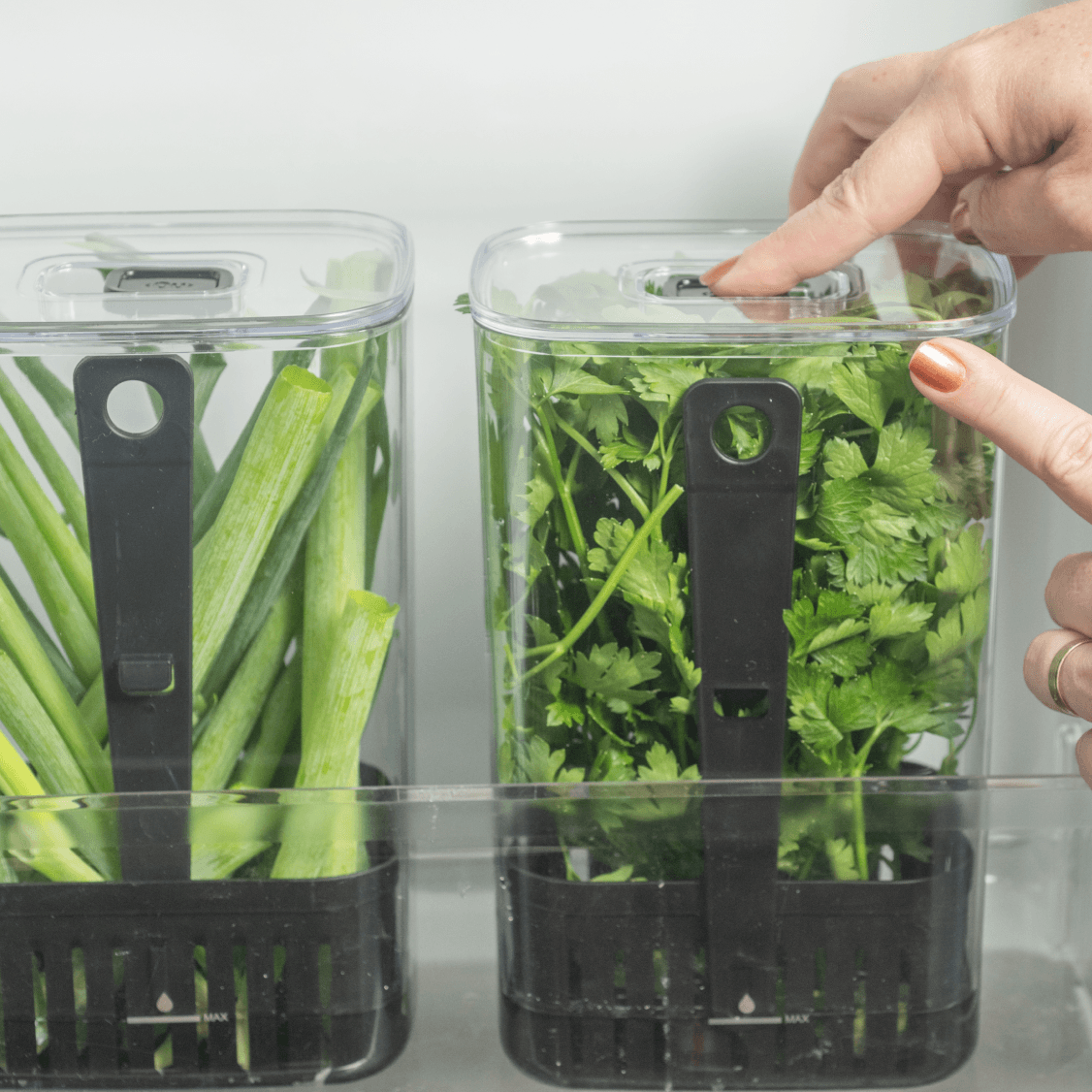 Organizador de temperos Ou 2,3L Linha Clear Fresh