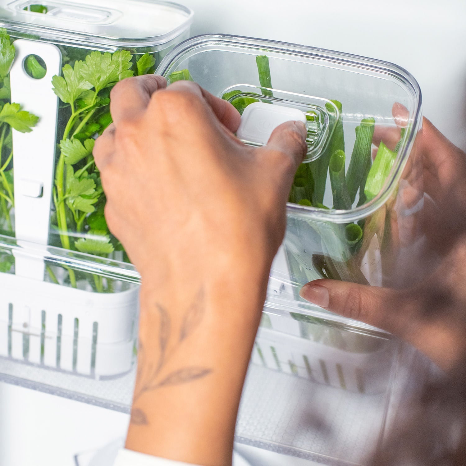 Organizador de temperos Ou 2,3L Linha Clear Fresh